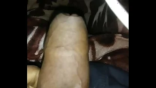 www&period;xvideo&period;com